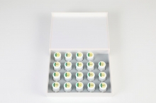 102-0190 EX-3 LUSTER COMPLETE KIT (190G)